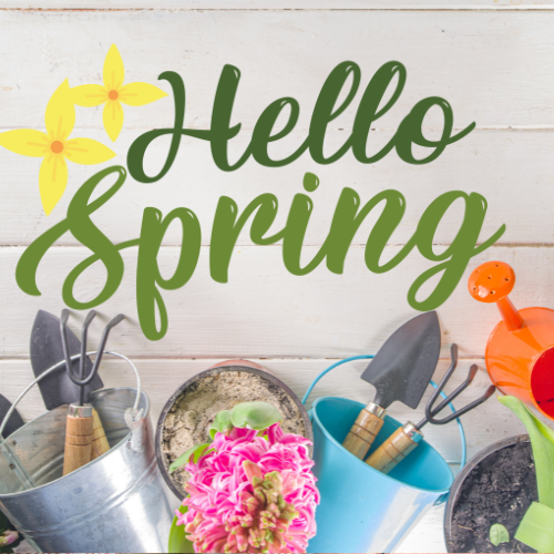 Kick Off Spring with Blooming Junction! 🌷