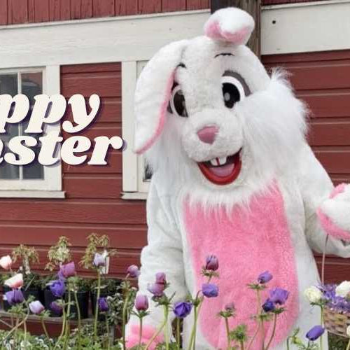 Hoppy Easter! 🐰🌷