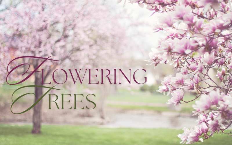 Flowering Trees for Every Landscape! 🌳
