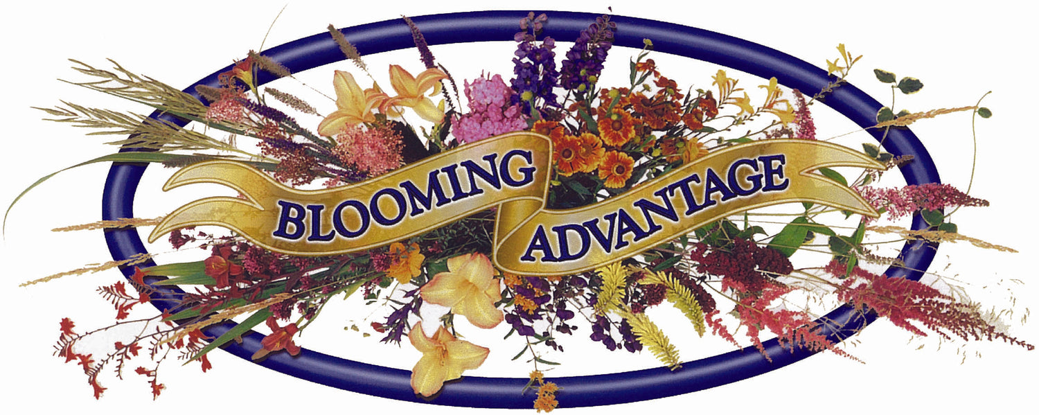 Discover the Blooming Advantage