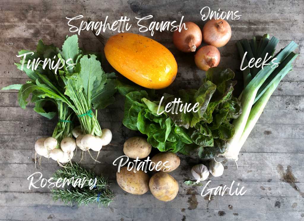 CSA Community Share Agriculture