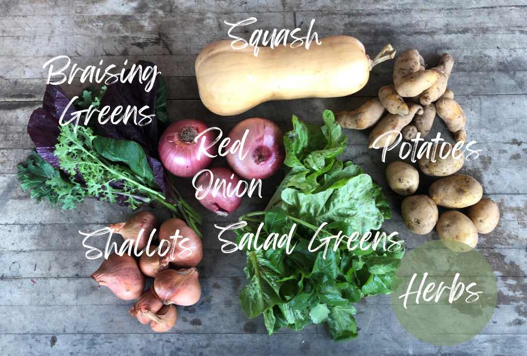 CSA Community Share Agriculture