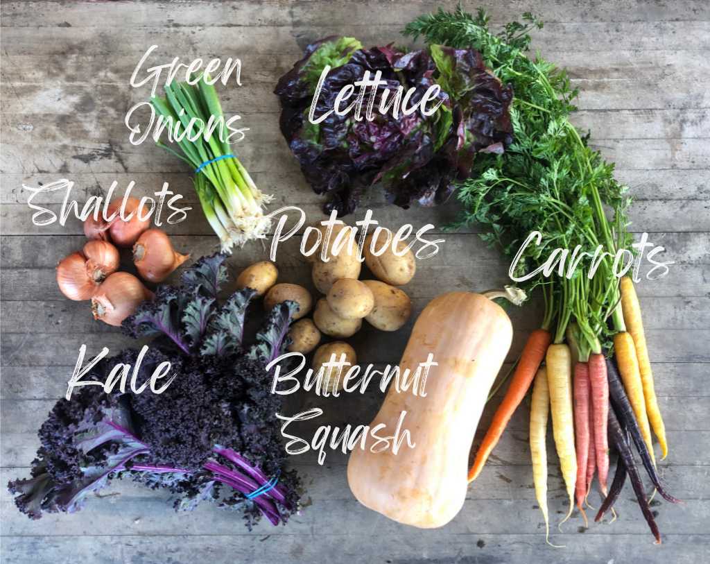 CSA Community Share Agriculture