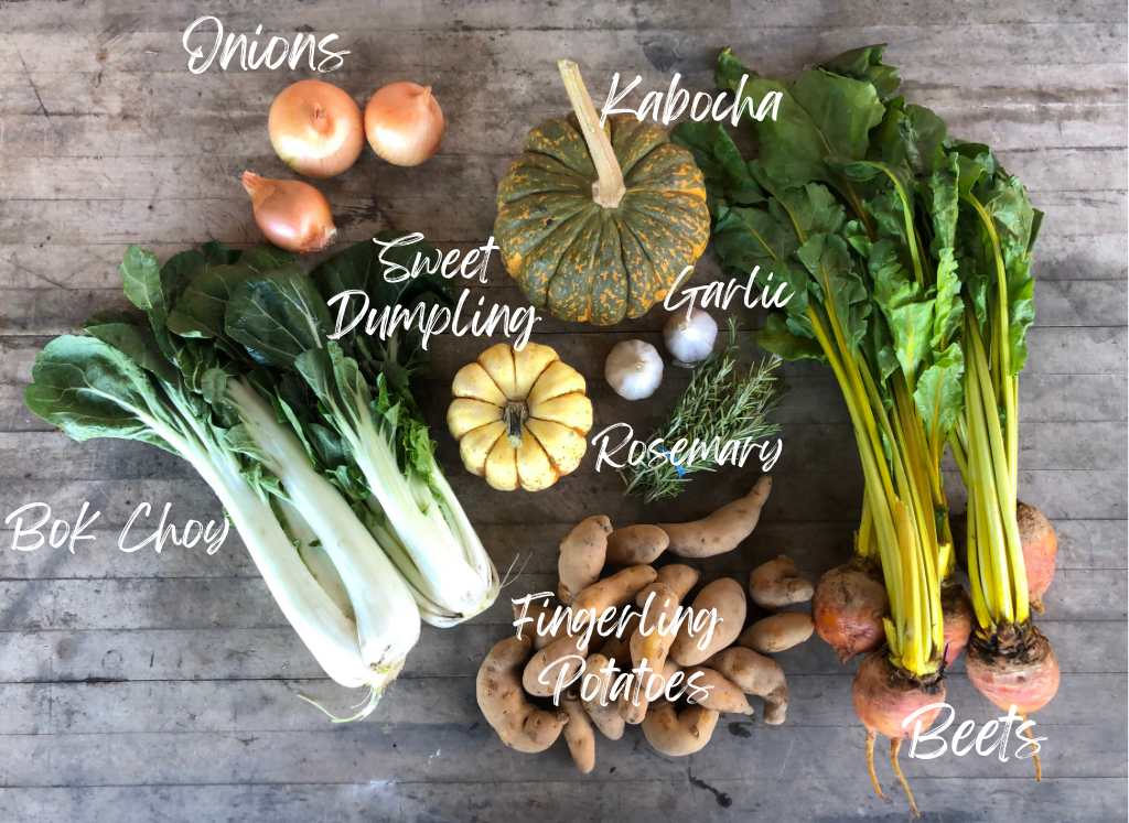 CSA Community Share Agriculture