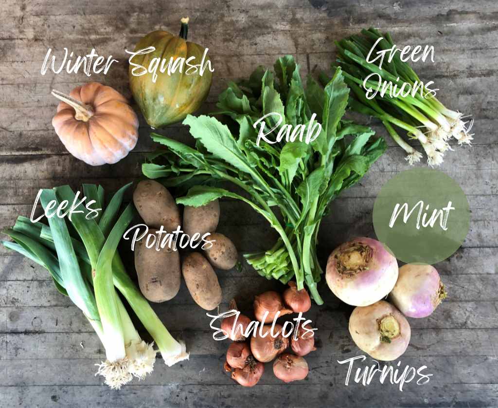 CSA Community Share Agriculture