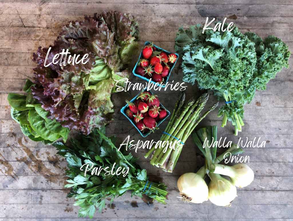 CSA Community Share Agriculture