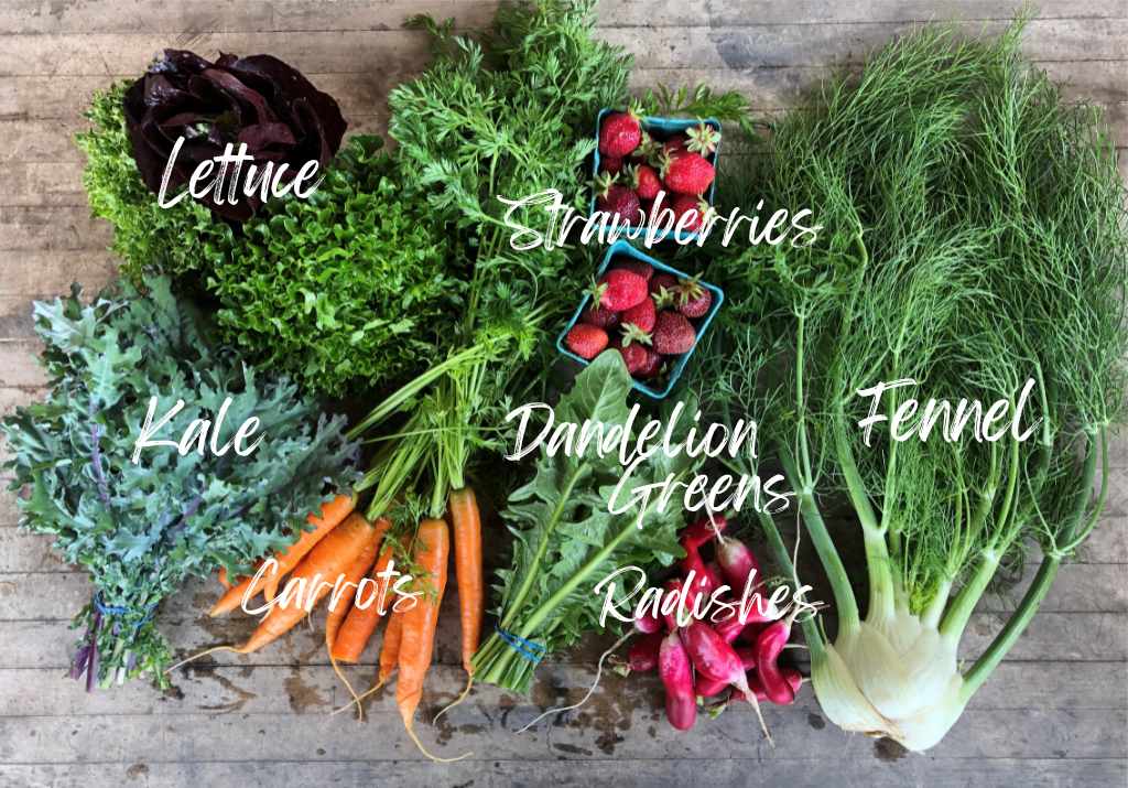 CSA Community Share Agriculture