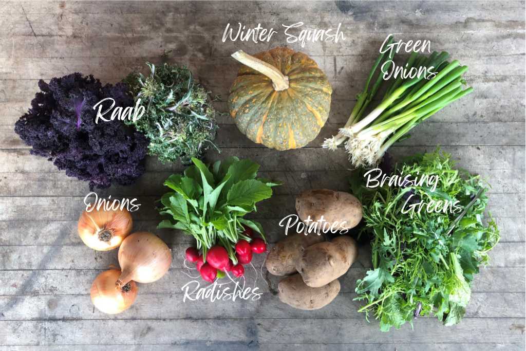 CSA Community Share Agriculture