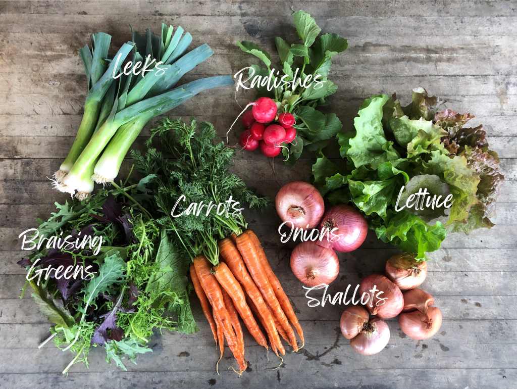 CSA Community Share Agriculture