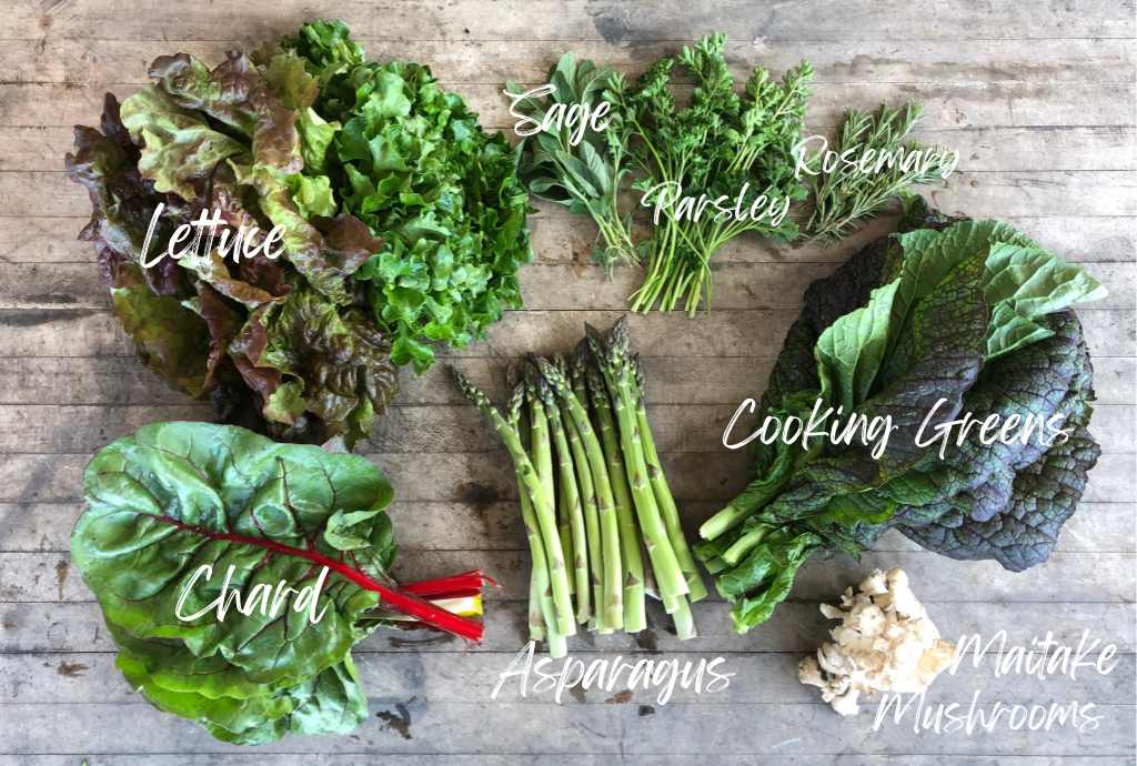 CSA Community Share Agriculture
