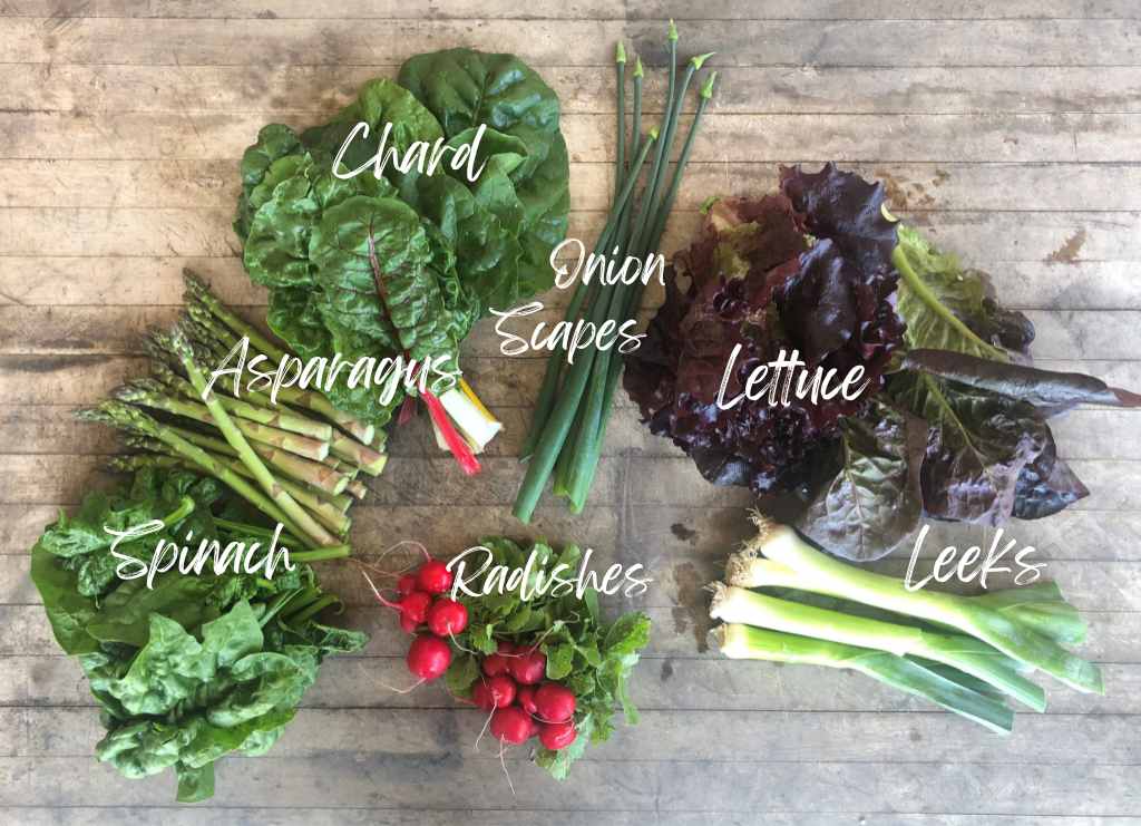 CSA Community Share Agriculture