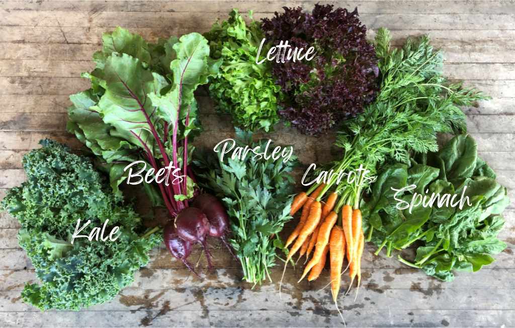 CSA Community Share Agriculture
