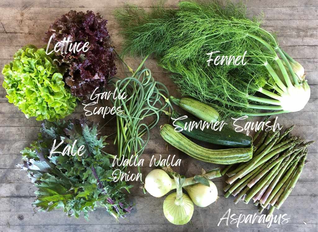 CSA Community Share Agriculture