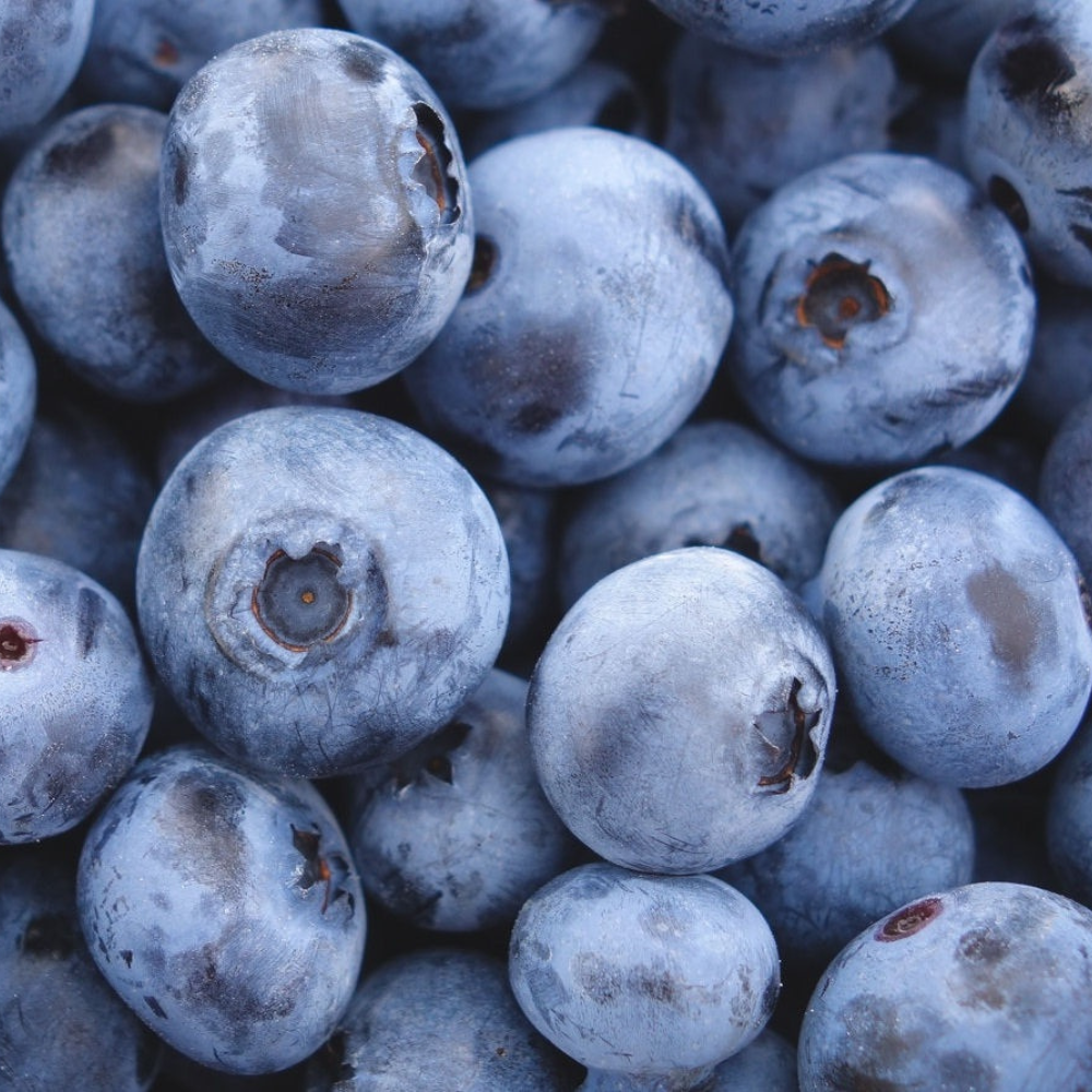 Blueberry Full Flats