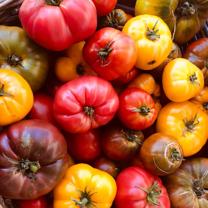 Tomatoes: Heirloom 10lbs