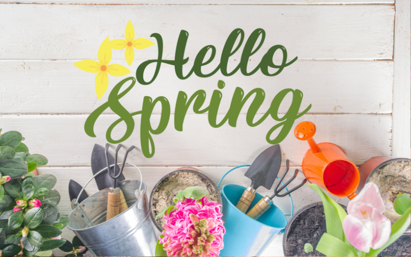 Kick Off Spring with Blooming Junction! 🌷