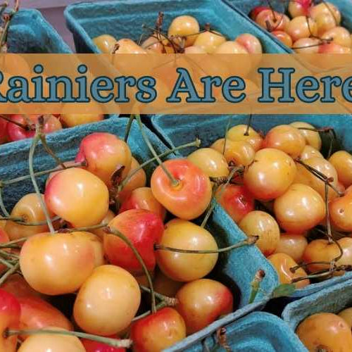 Enjoy The Taste of Summer with Rainier Cherries!!