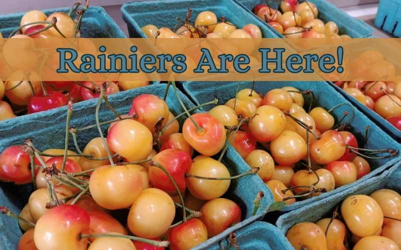 Enjoy The Taste of Summer with Rainier Cherries!!