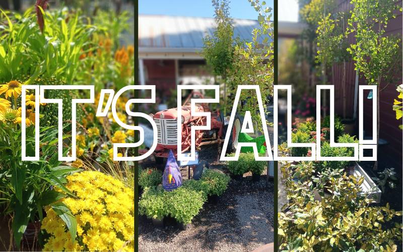 Happy Fall Y'all!! 🌾🍁