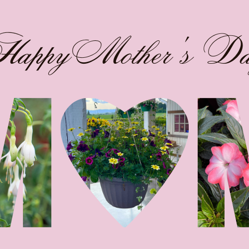 Happy Mother's Day 💗💐