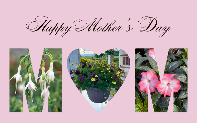 Happy Mother's Day 💗💐
