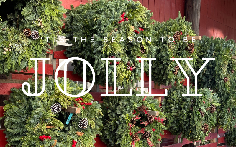 Fresh and Fragrant Evergreens! 🔔🎄🌲 — Blooming Junction