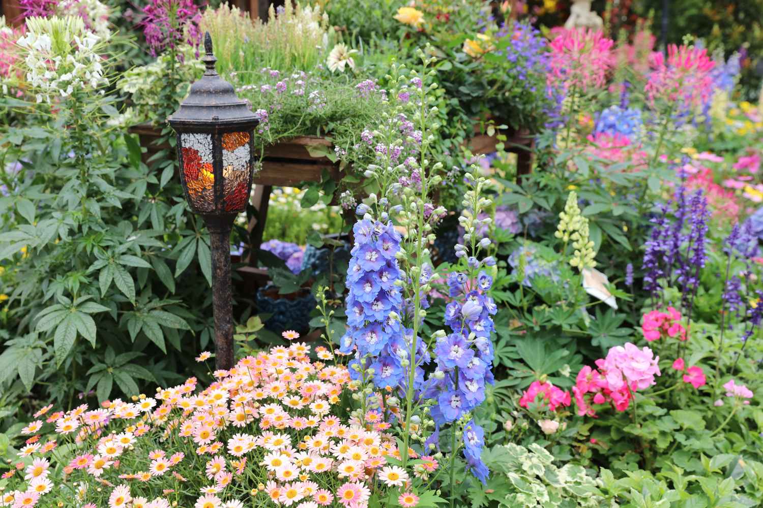 Fall is For Planting!!