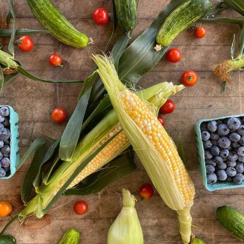Sweet Summer Bounty! 🌽🍅🥕🍉🥒