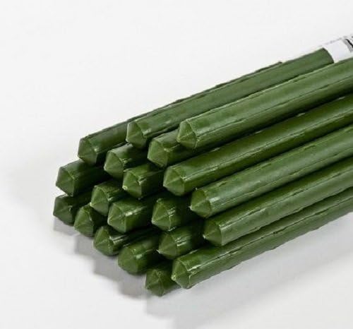 Gardener's Blue Ribbon Green Sturdy Stake 6' - 6 Stakes