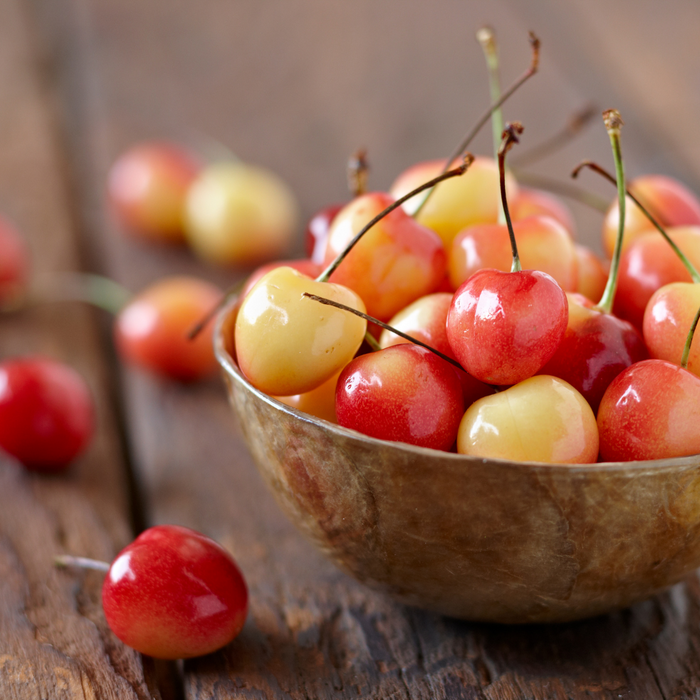 Dave Wilson Cherry Rainier Bare Root Fruit Tree