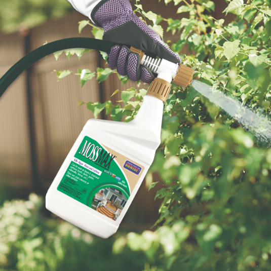 Bonide Moss Maxx Ready to Spray - Quart