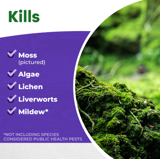 Bonide Moss Maxx Ready to Spray - Quart