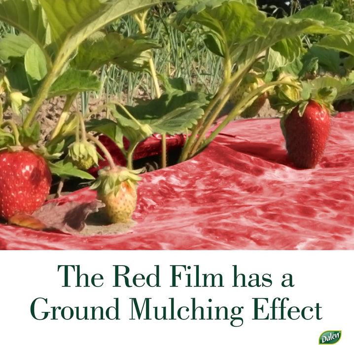 Dalen Better Reds Mulch Film 3'x24'