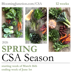 2025 CSA Registration is Open!