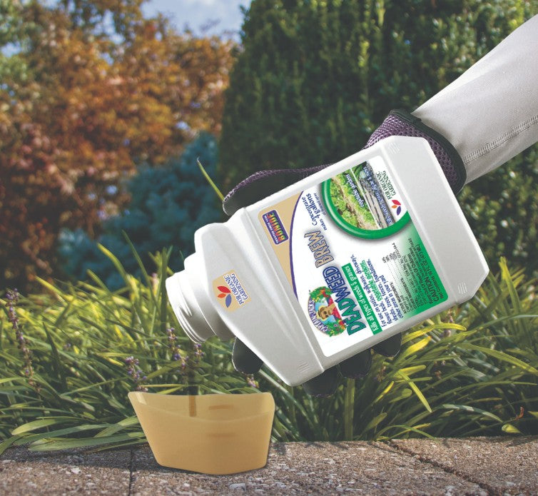 Captain Jack's Deadweed Brew Concentrate - Quart