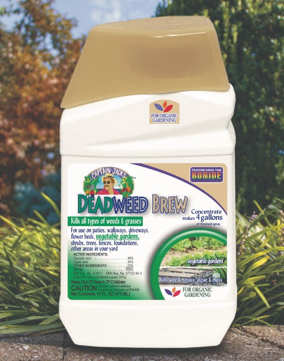 Captain Jack's Deadweed Brew Concentrate - Quart