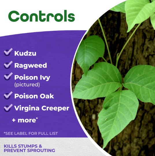 Bonide Vine and Stump Killer - 8oz
