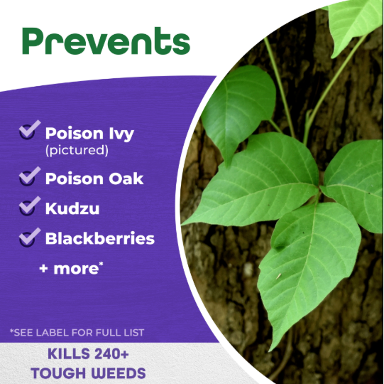 Bonide Poison Ivy & Brush Killer BK-32 Concentrate - Pint