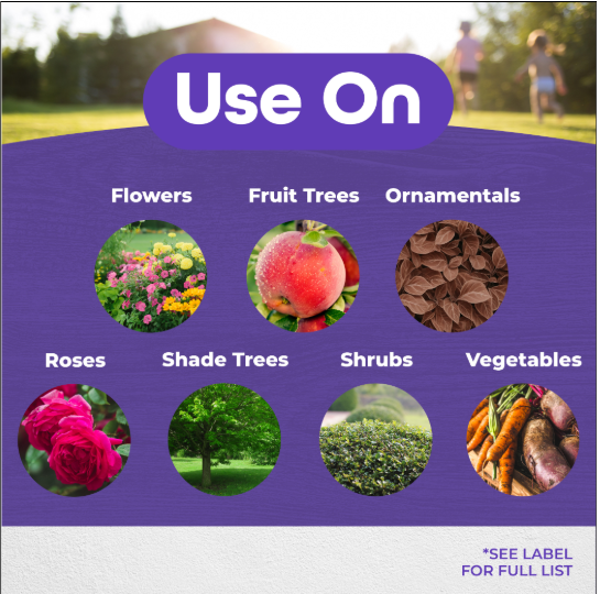 Bonide All Seasons Horticultural & Dormat Ready to Spray - Quart