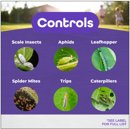 Bonide All Seasons Horticultural & Dormat Ready to Spray - Quart