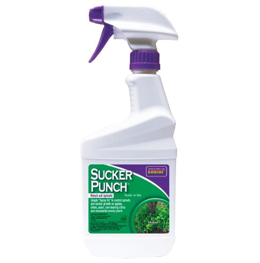 Bonide Sucker Punch Ready to Use - 8oz
