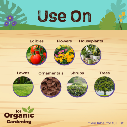 Bonide Copper Fungicide Ready to Use - Quart