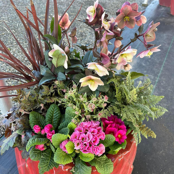 CLASS Autumn Arrangements: Designing Your Fall Containers
