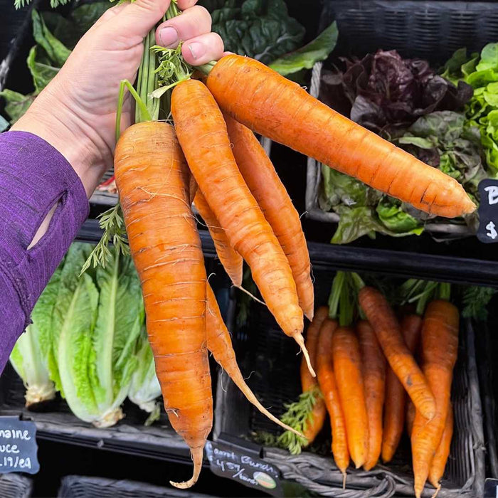 Carrots: 10lb box