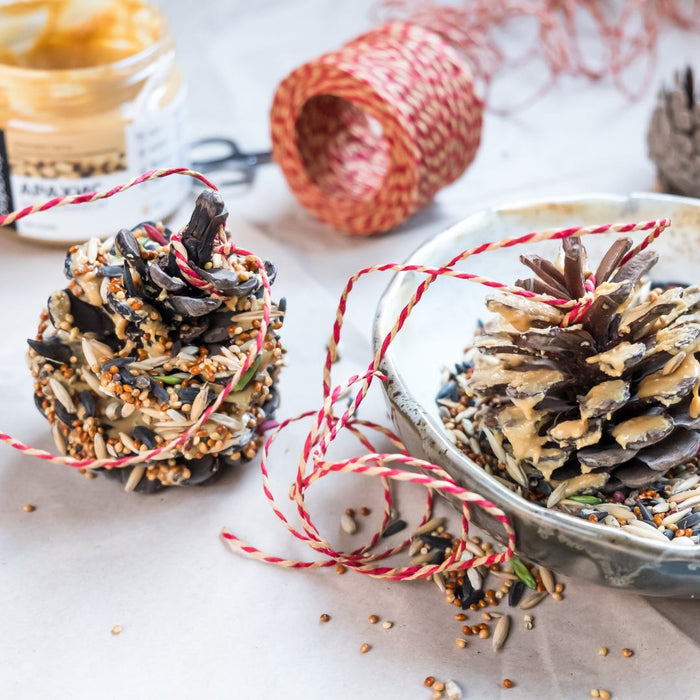 CLASS Pinecone Birdfeeder[Kid Friendly]