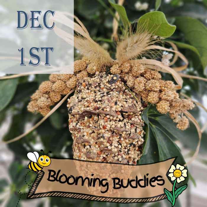 CLASS Pinecone Birdfeeder[Kid Friendly]