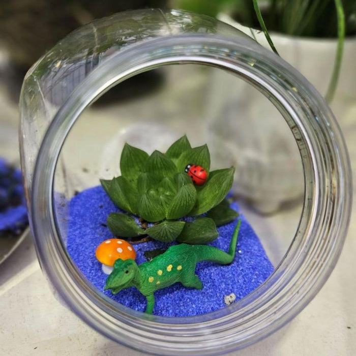 CLASS Mini Terrarium [Kid Friendly]