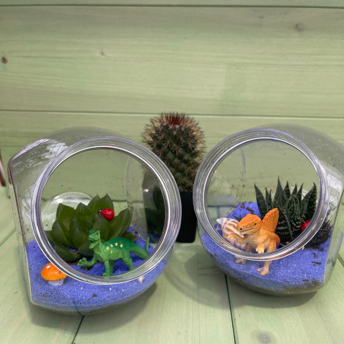 CLASS Mini Terrarium [Kid Friendly]