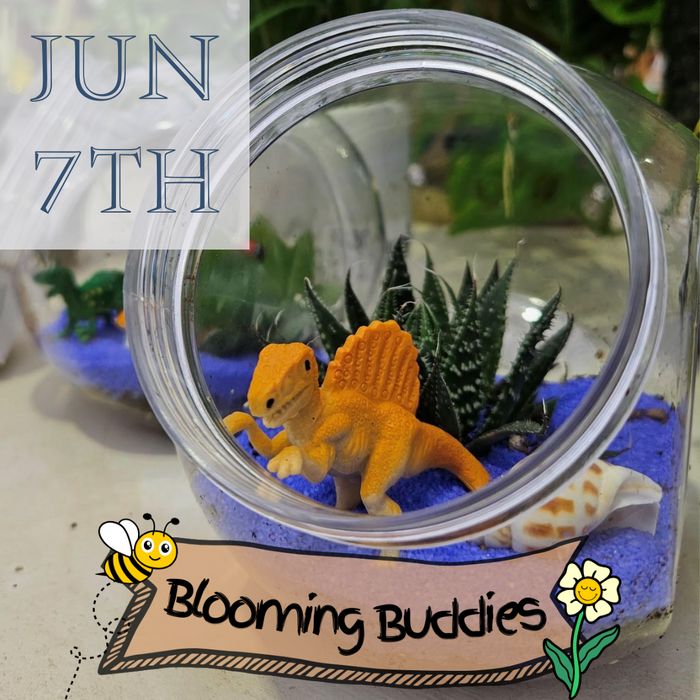 CLASS Mini Terrarium [Kid Friendly]