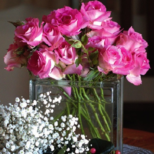 Painted Porcelain™ Rose - 3 Gallon